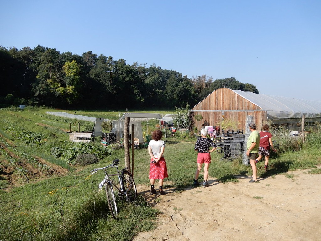 Drei Frauen und ein Mann betrachten die Solidarische Landwirtschaft Ackerschön bei strahlendem Sonnenschein